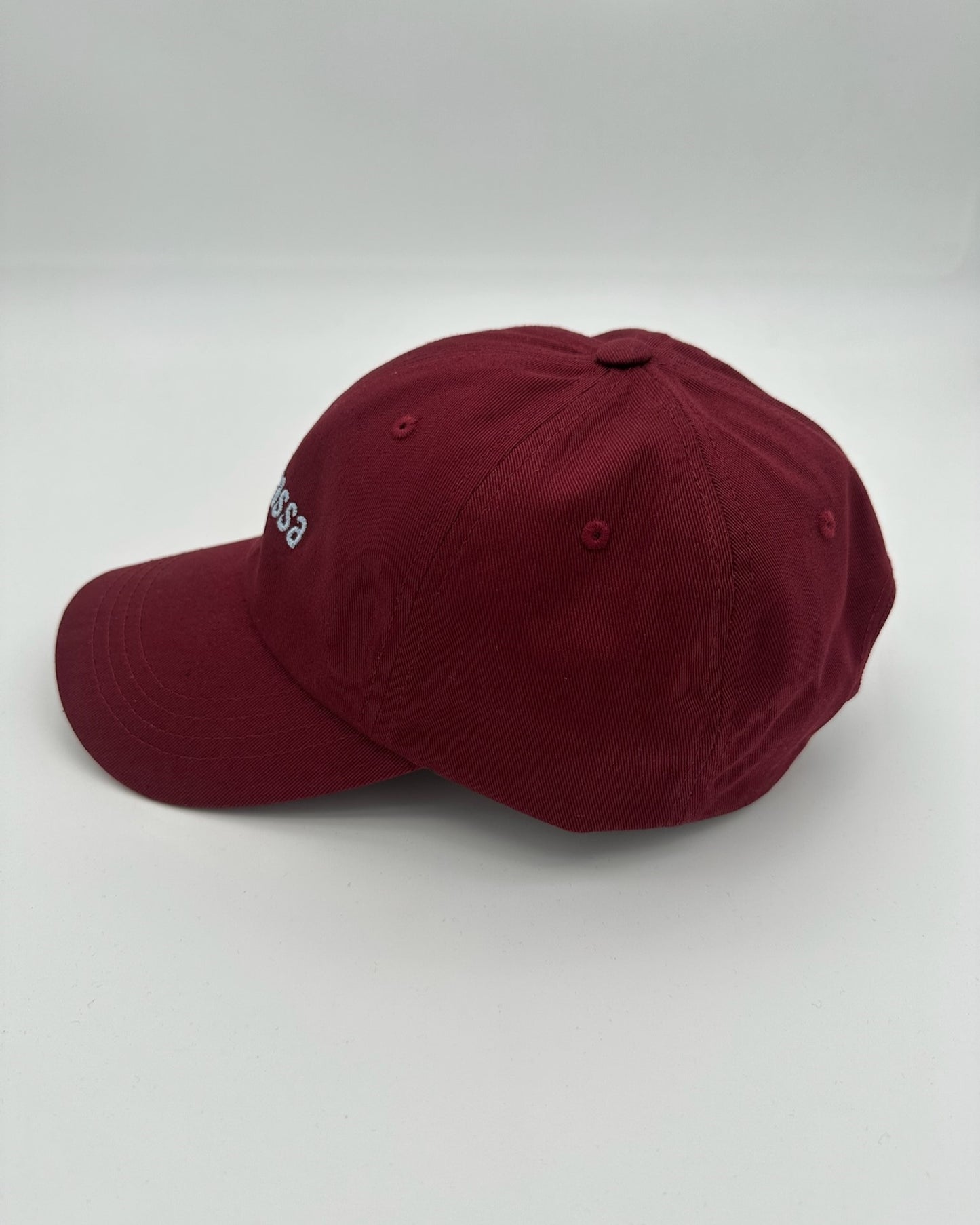 Low Profile Cap "tutto passa"